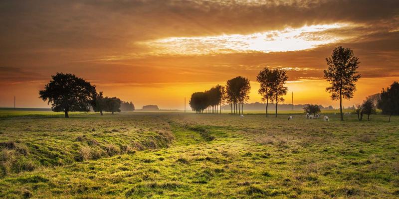 Wi-Fi 7革命：关键技术升级如何重塑企业网络，赋能软件工具与开发效率