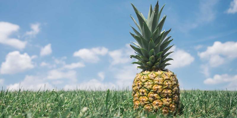 意图驱动网络（IDN）的语义理解与策略冲突自动消解：软件工具如何赋能网络技术社区