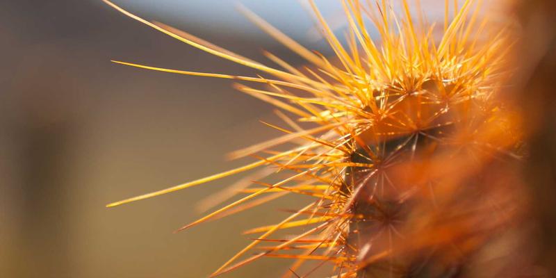 网络数字孪生：攻克多源异构数据治理的工程挑战，BASCN等软件工具如何破局？